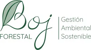 Boj Forestal